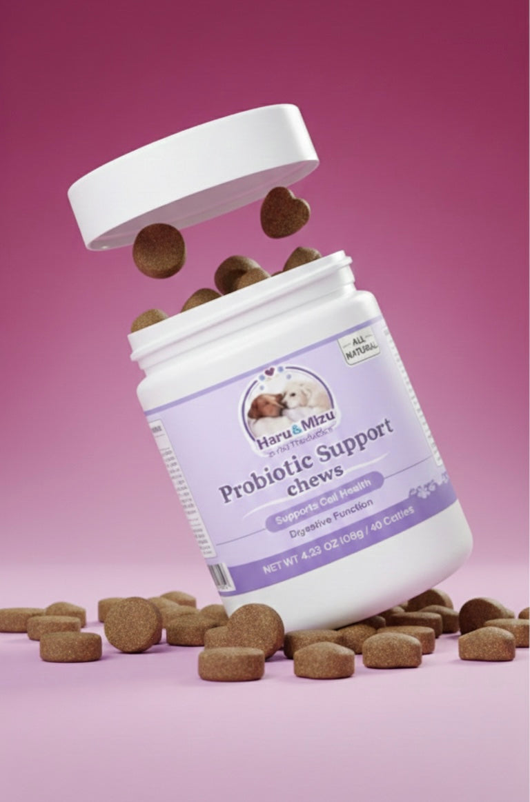 Probiotic Support