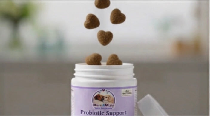 Probiotic Support