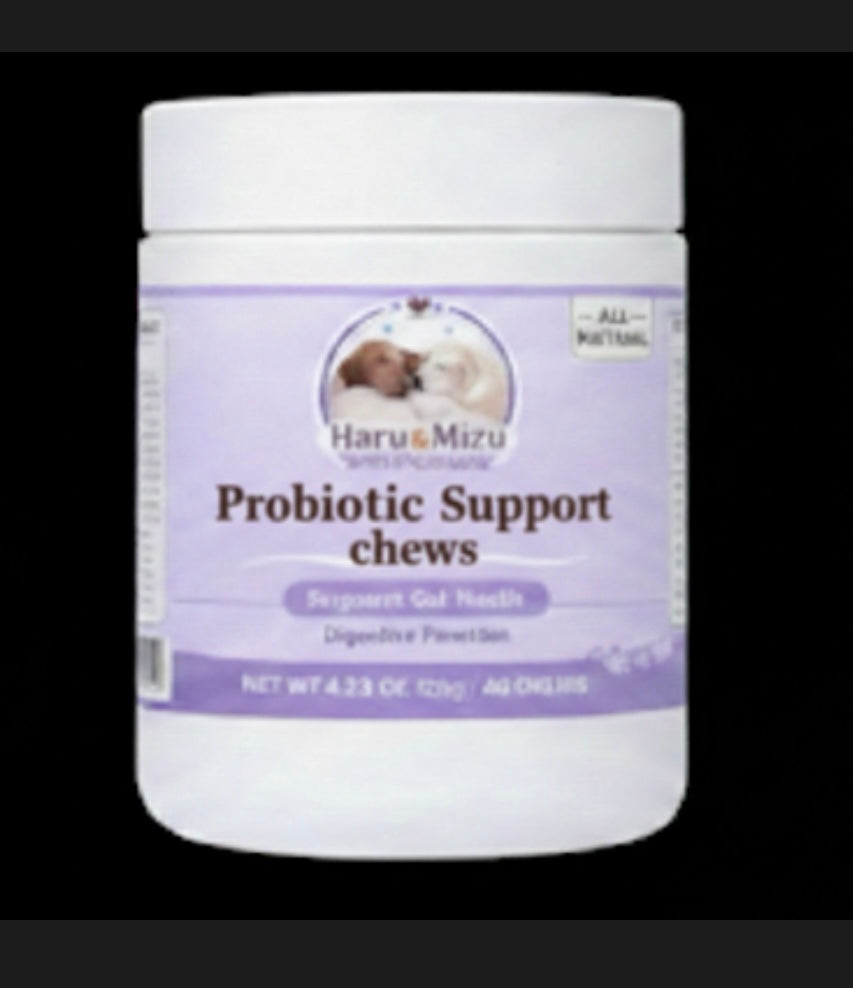 Probiotic Support