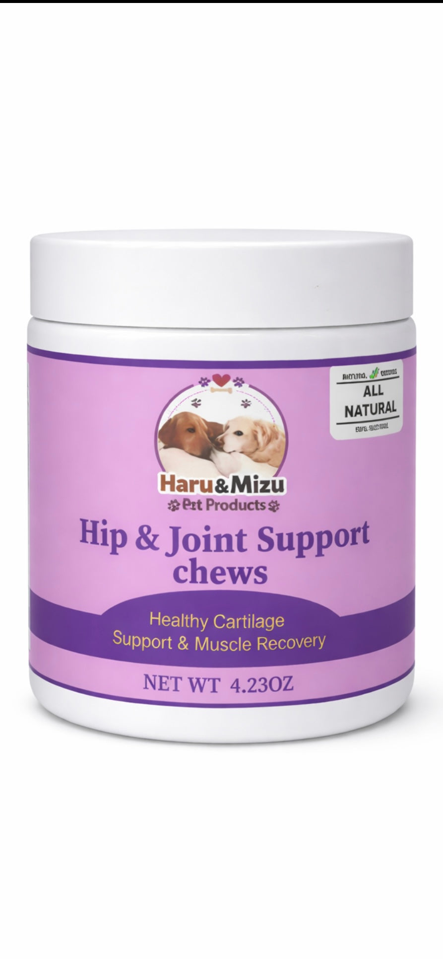 Hip joint Support